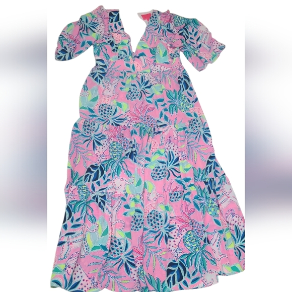 Lilly Pulitzer Dresses & Skirts - LILLY PULITZER Floral Pink and Blue Maxi Dress